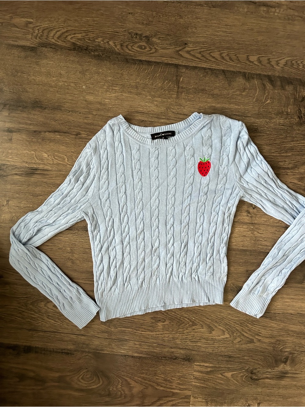 Social scene light Blue Cable-Knit Sweater with Strawberry Patch print